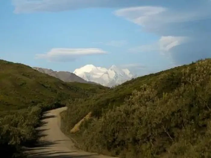 Denali National Park - Road Lottery