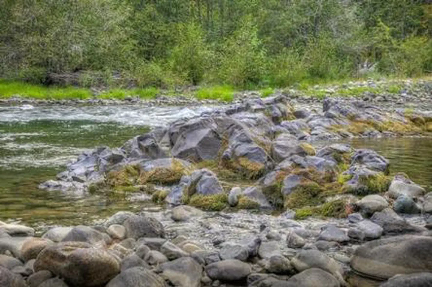 Sawmill Flat Campground