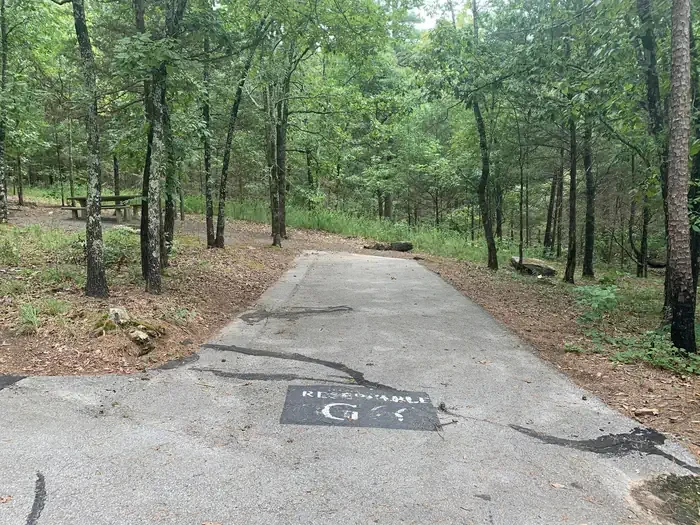G06