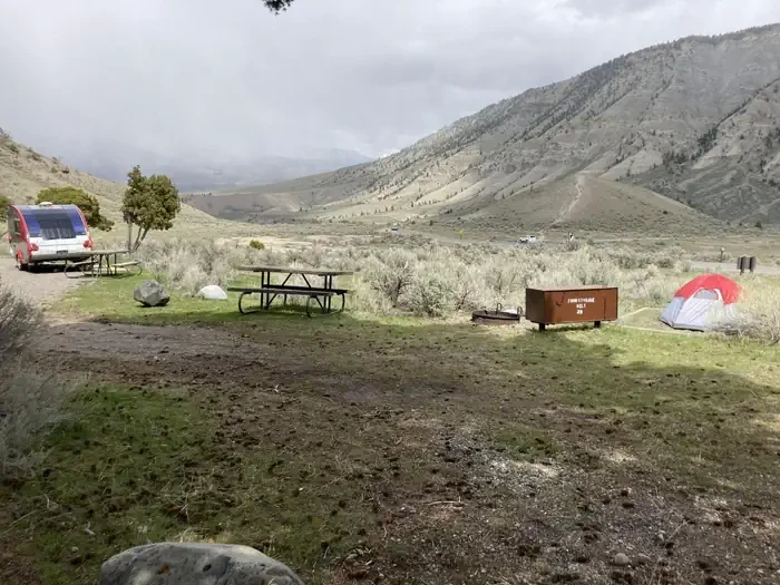 Mammoth site #29