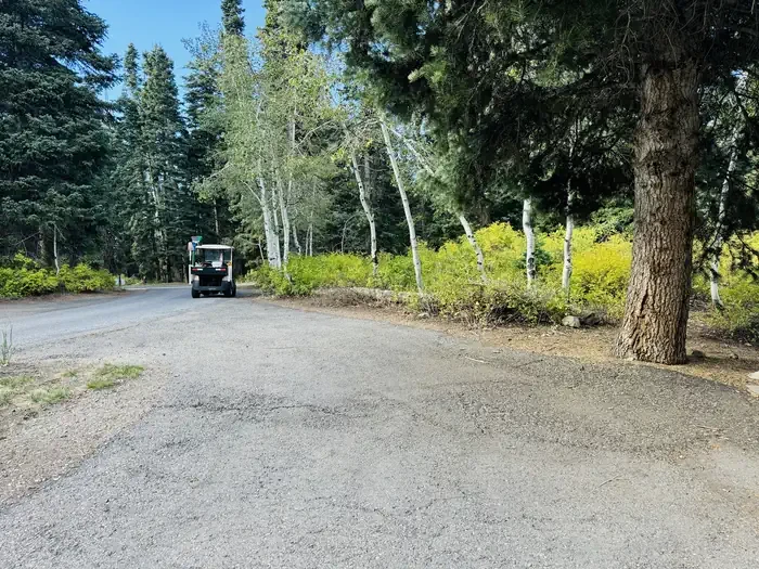 B37