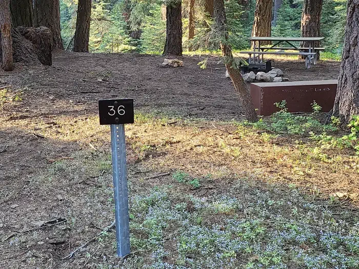Site: 36