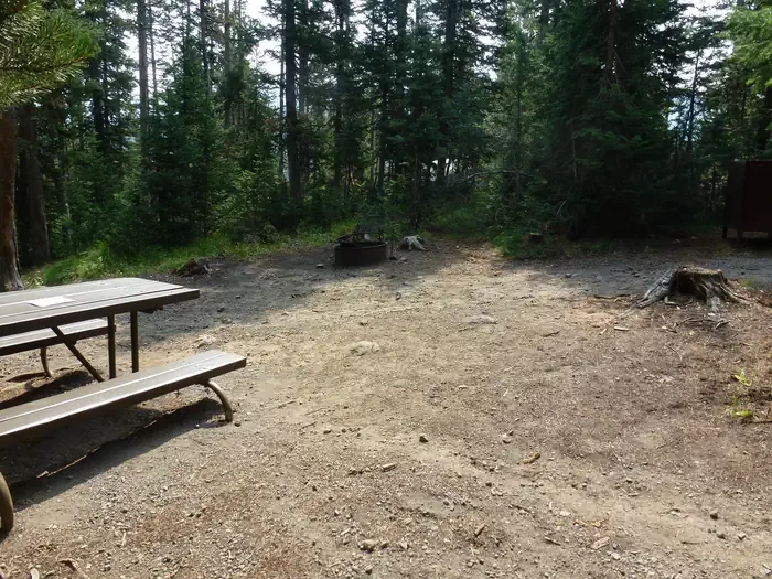 Lewis Lake site #55