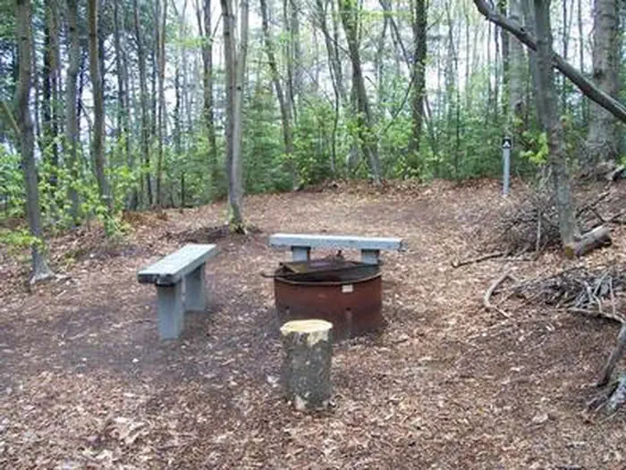 Preservation Point