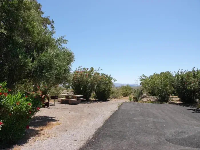 Site 22