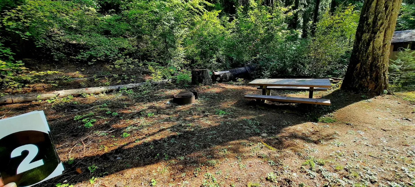 Finner Creek
