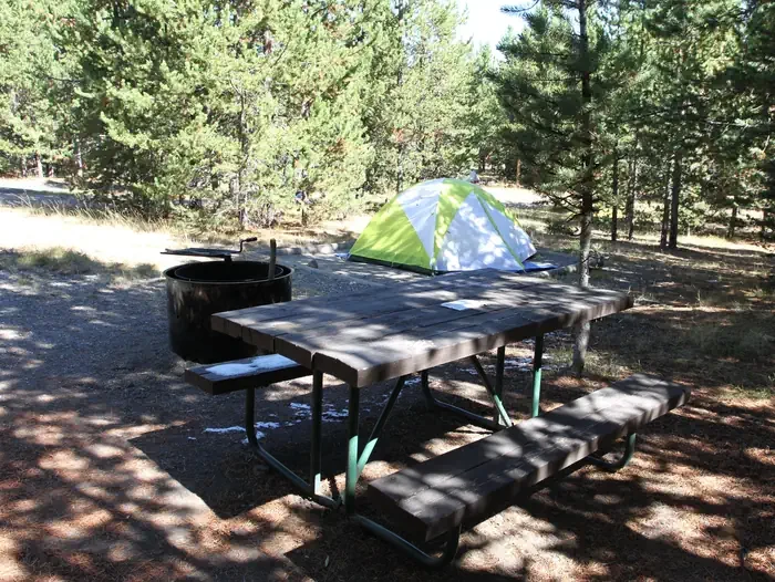 Indian Creek site #49