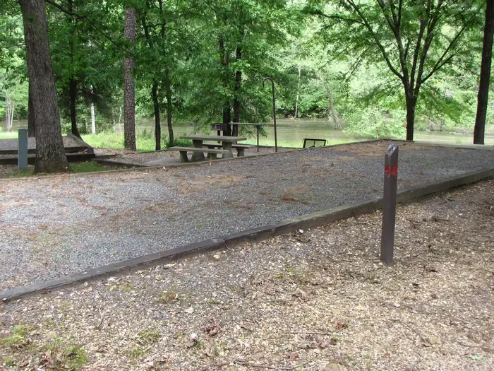 Site 4