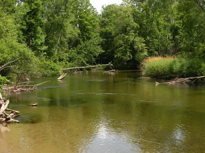 Pere Marquette National Scenic River Watercraft Permits (Huron Manistee)