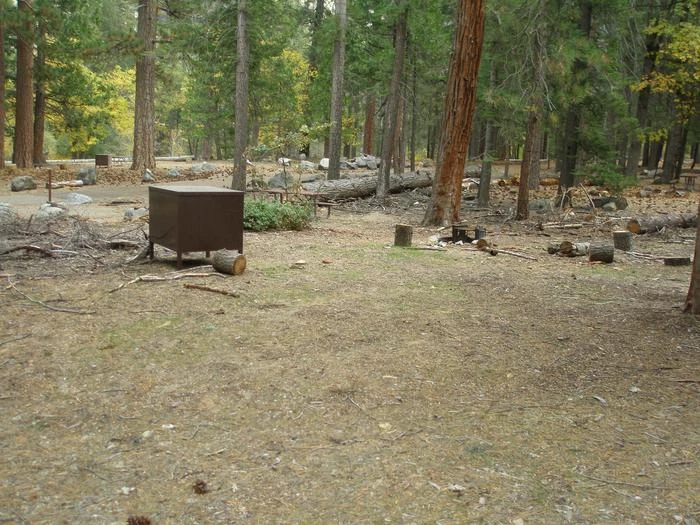 Site: 63