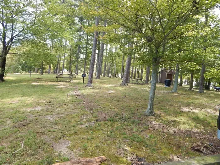 Ivy Hill Park