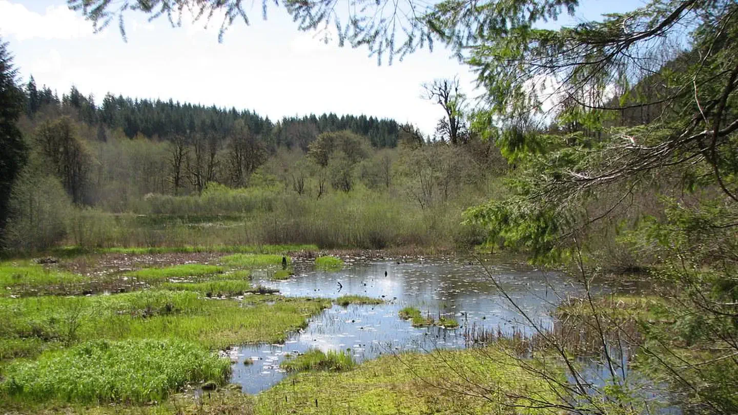Brown Creek Campground