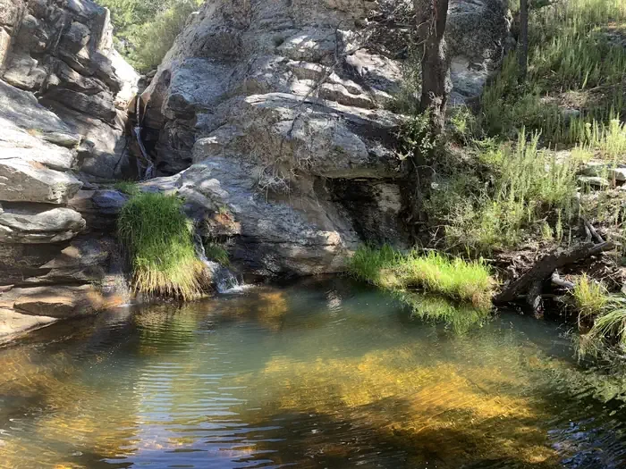 Saguaro National Park Wilderness Permits
