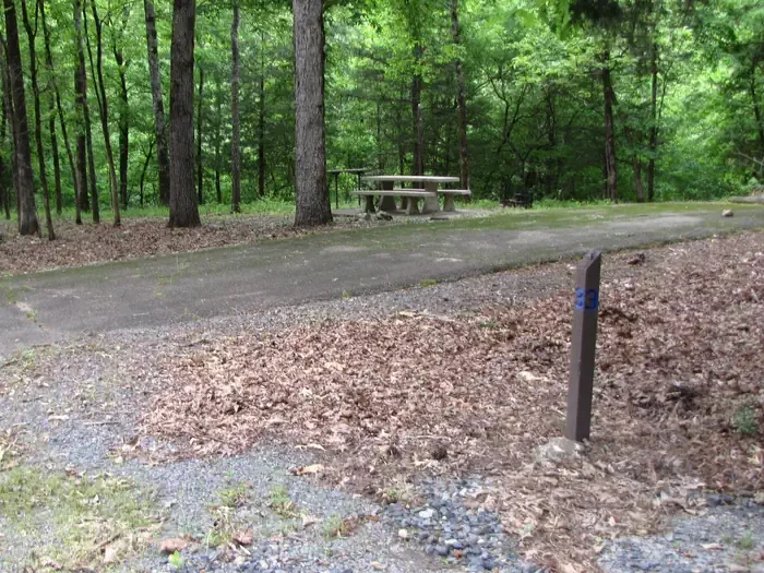 Site 3