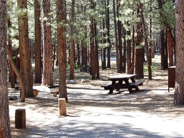 Old Shady Rest Campground