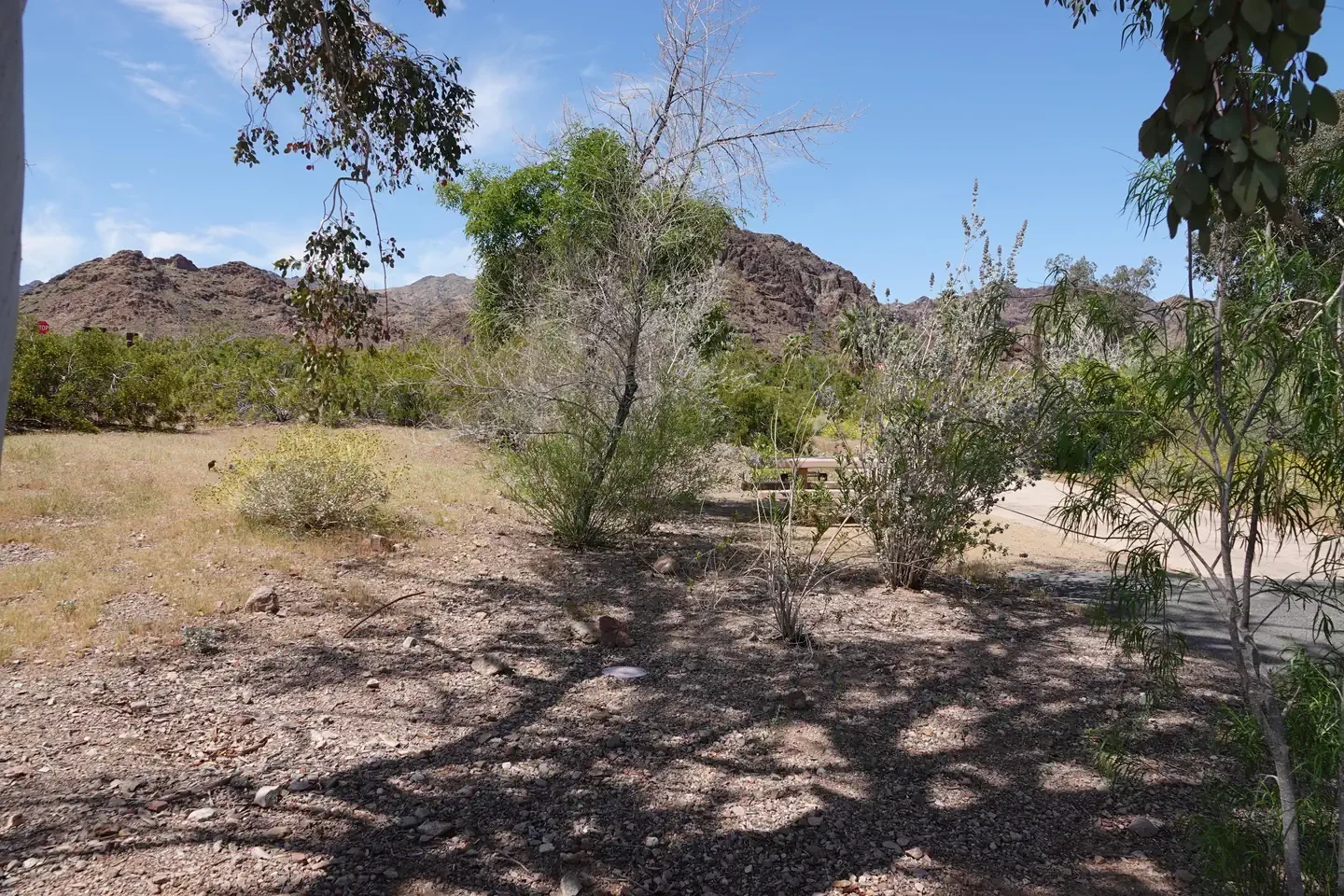 Site 5