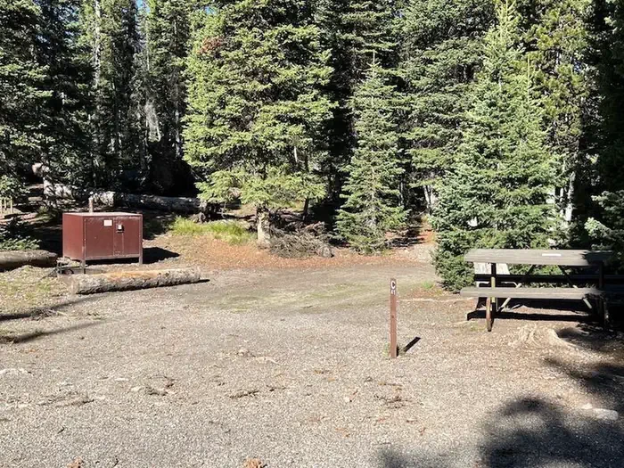 Lewis Lake site #41