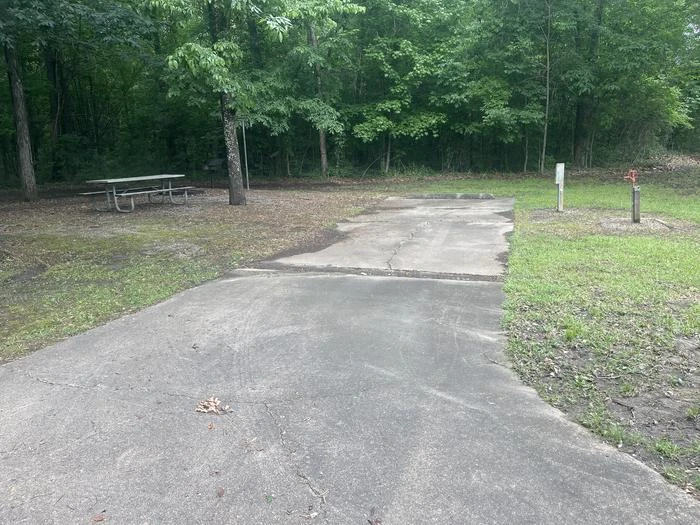 Site 51