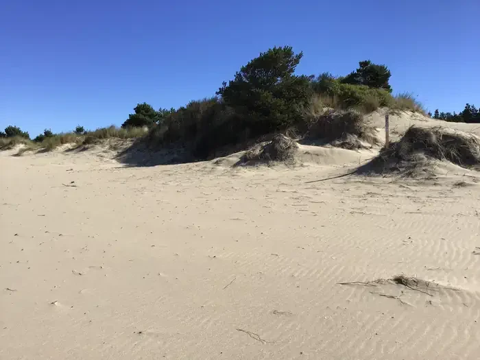 130