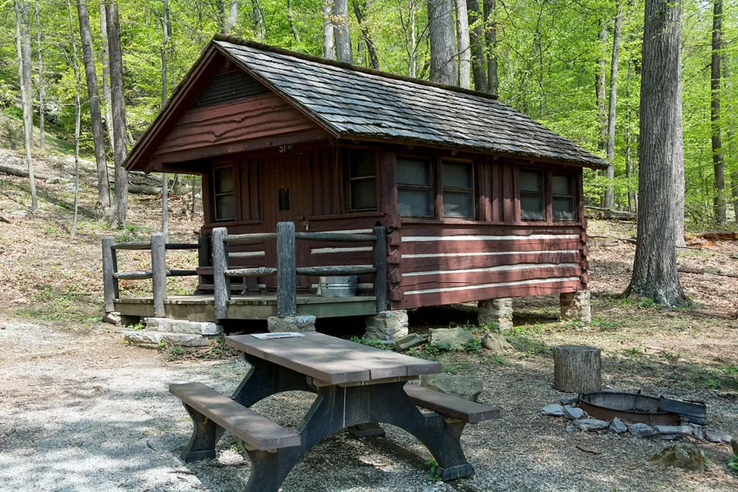 Cabin 51