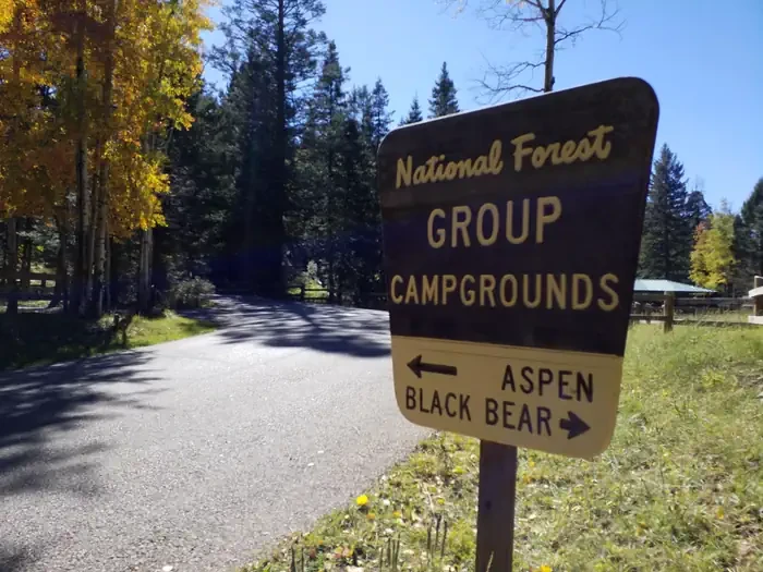 Black Bear Group Area
