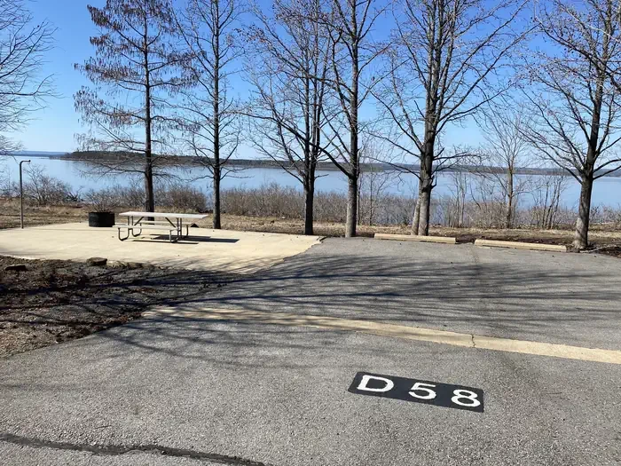 D58