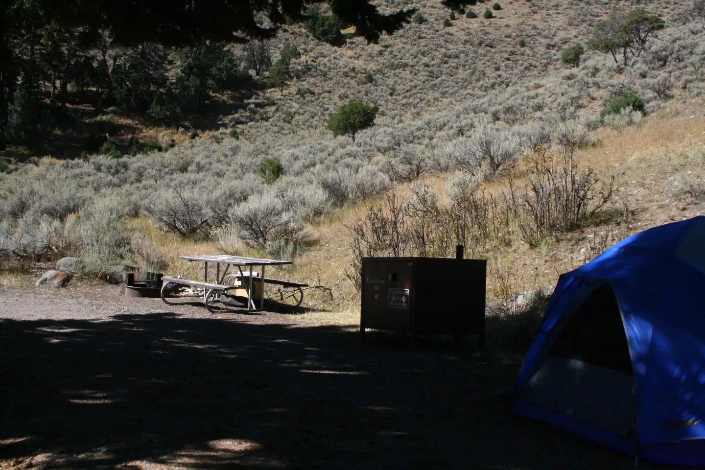 Mammoth site #48