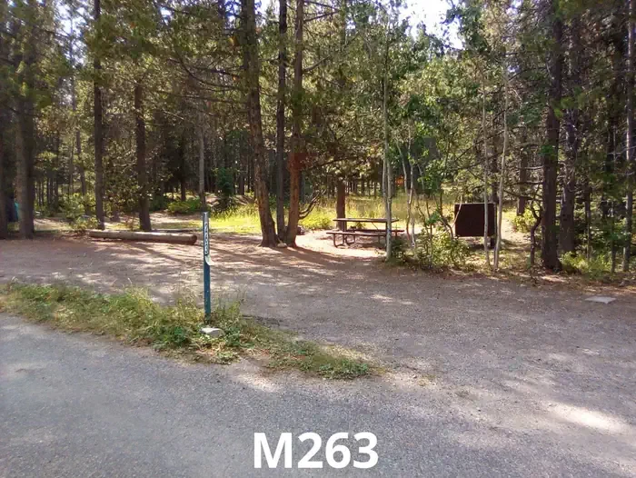263