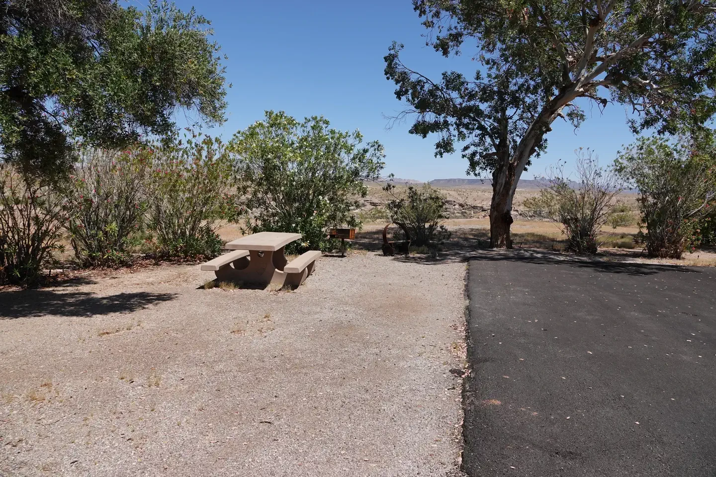 Site 50