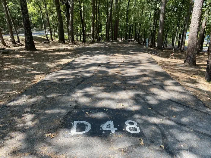 D48