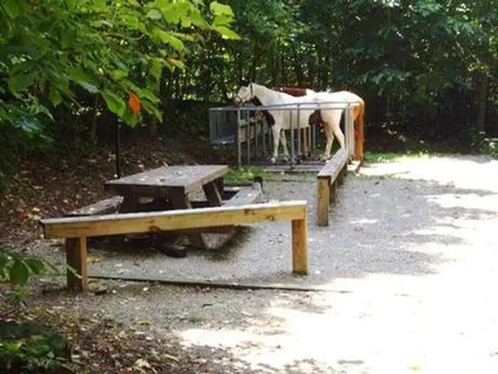 Harmon Den Campground