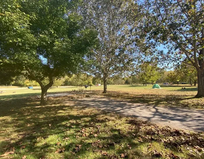 Site# 19