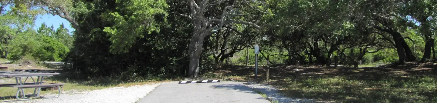 A035