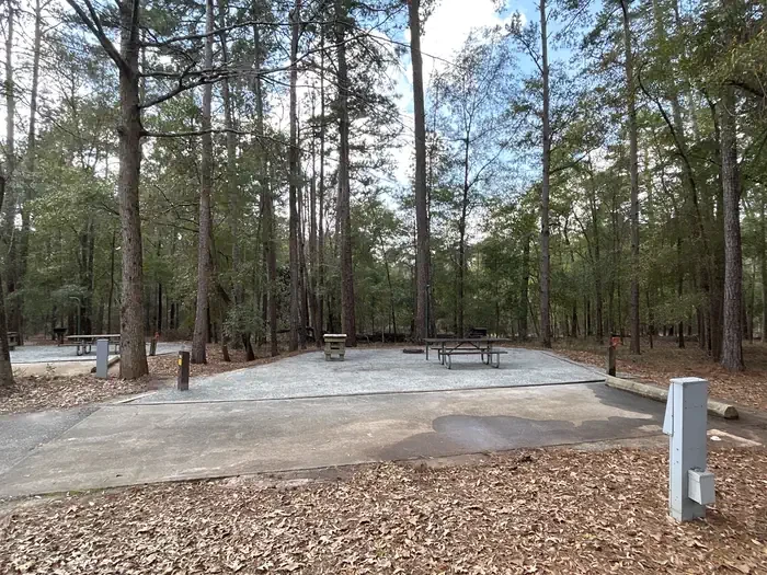 75