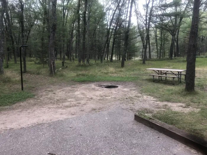 32