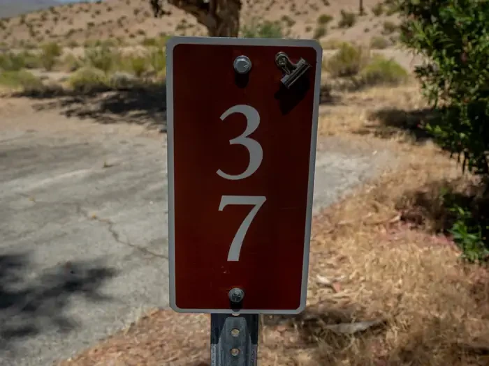 Site 37
