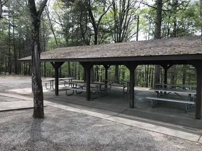 Heber Springs Shelter AM