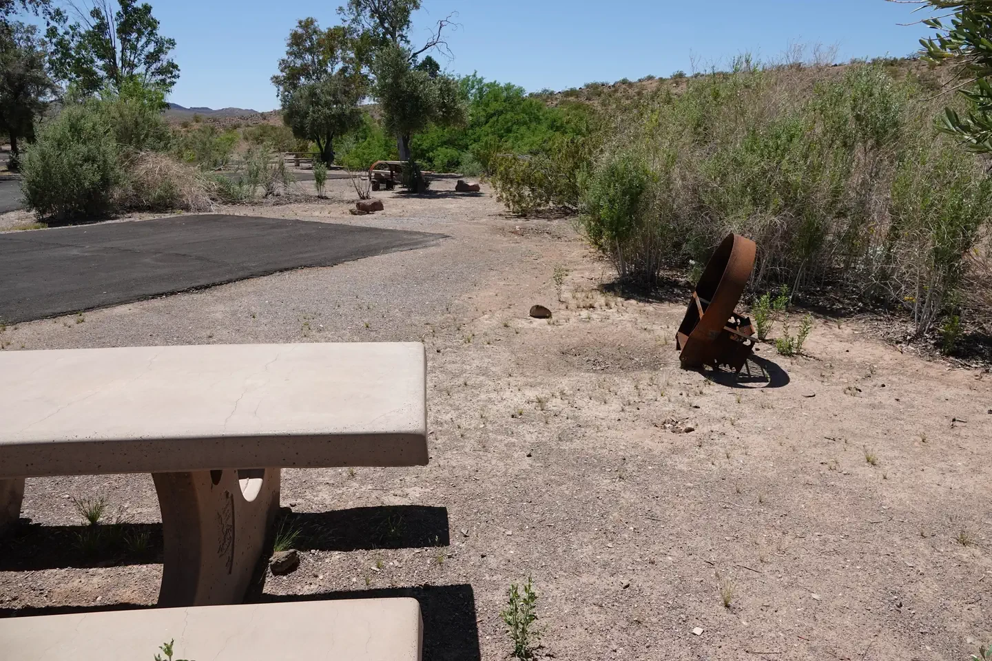 Site 78