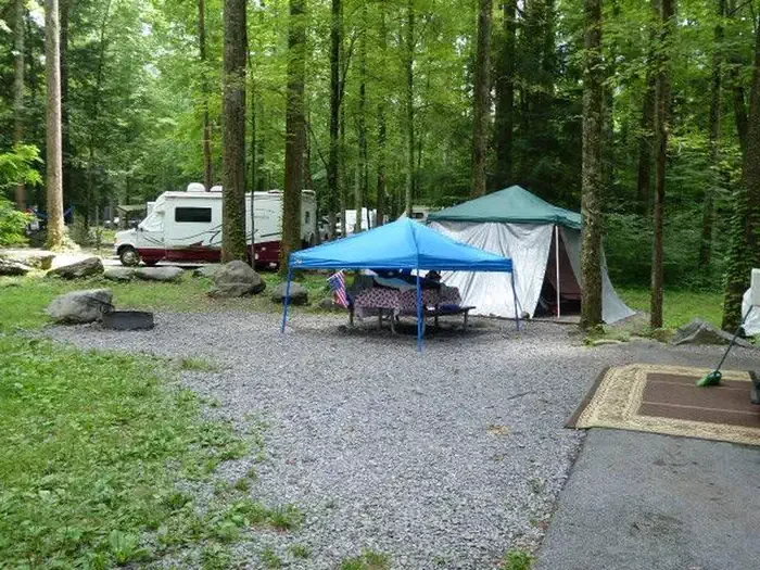 C09