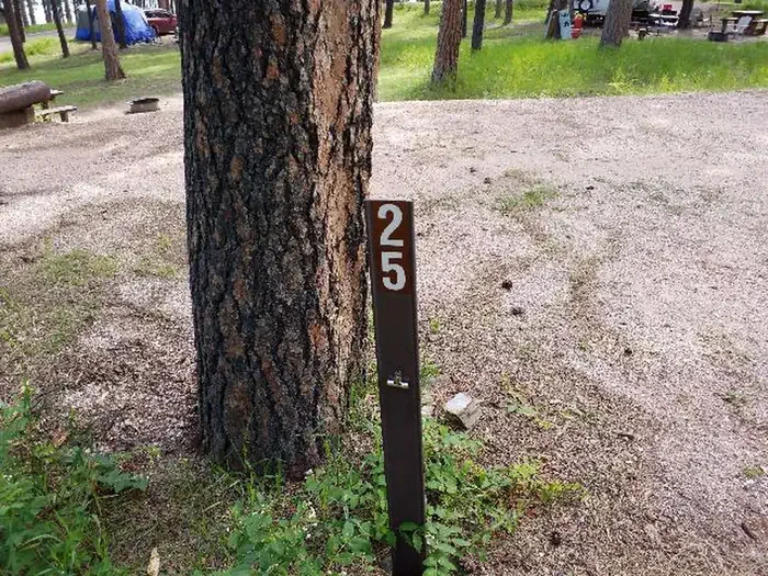 025