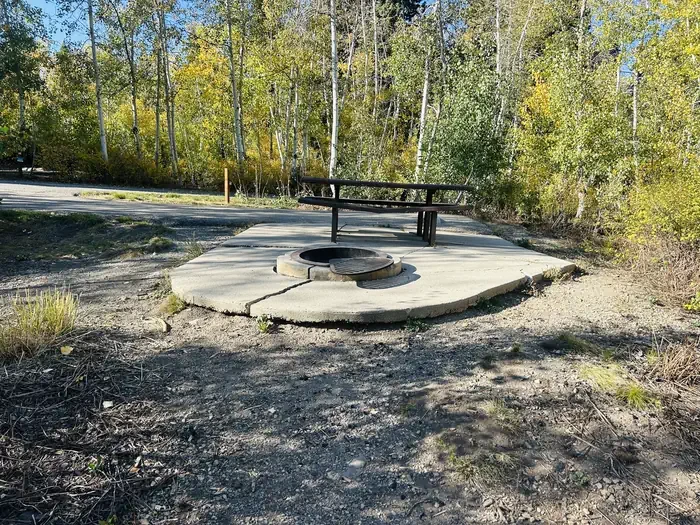A05