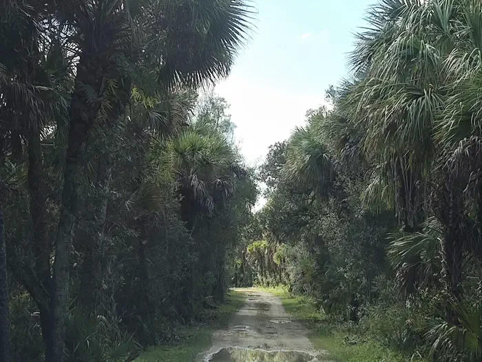 Gator Head Campground