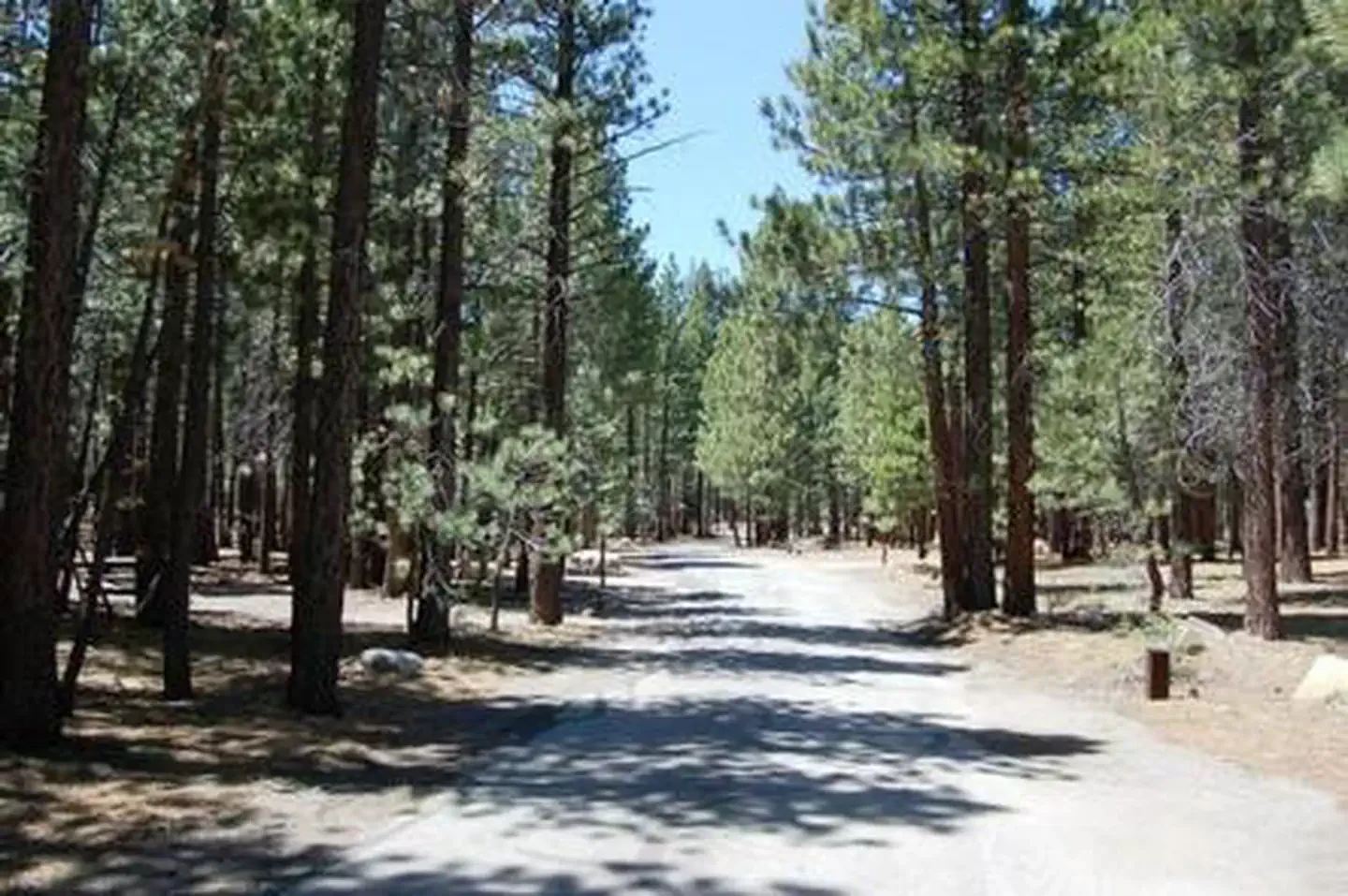 Old Shady Rest Campground