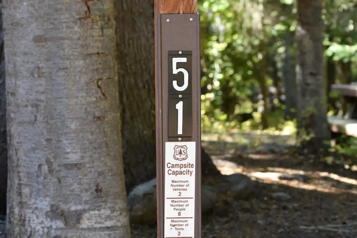 51