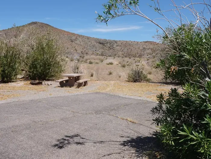 Site 38
