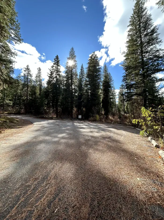 Hayfork Group Cg