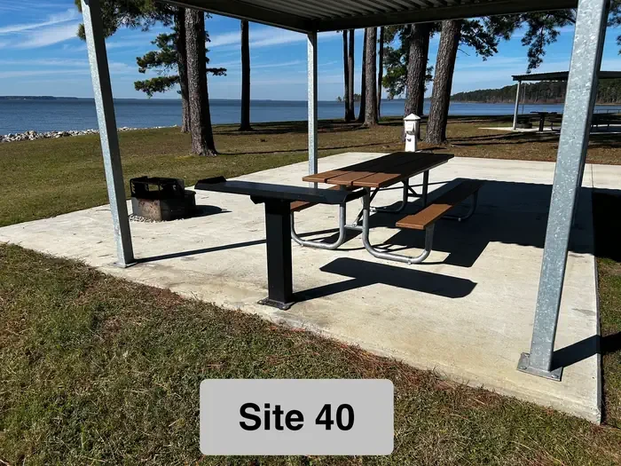 40