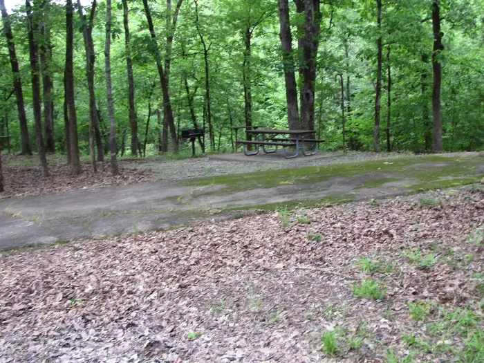 Site 5