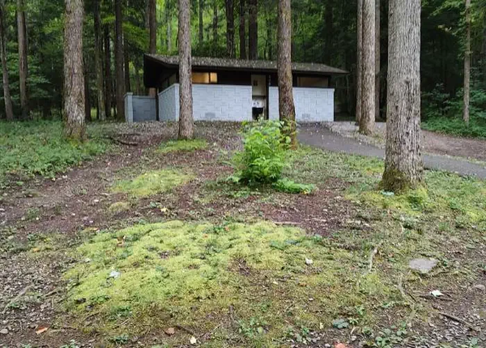Cosby Campground