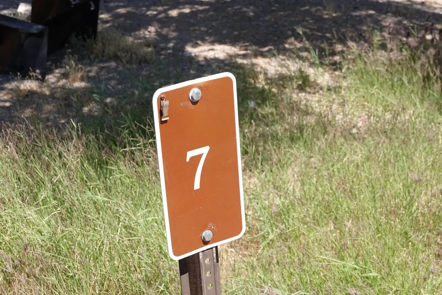 Site 7